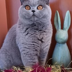 Pâques 